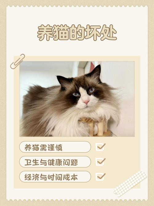 养猫好处多，责任也不小（养宠物猫的好处和坏处）