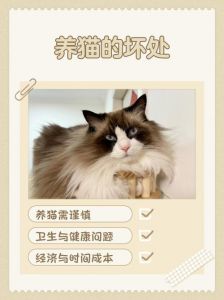 养猫好处多，责任也不小（养宠物猫的好处和坏处）