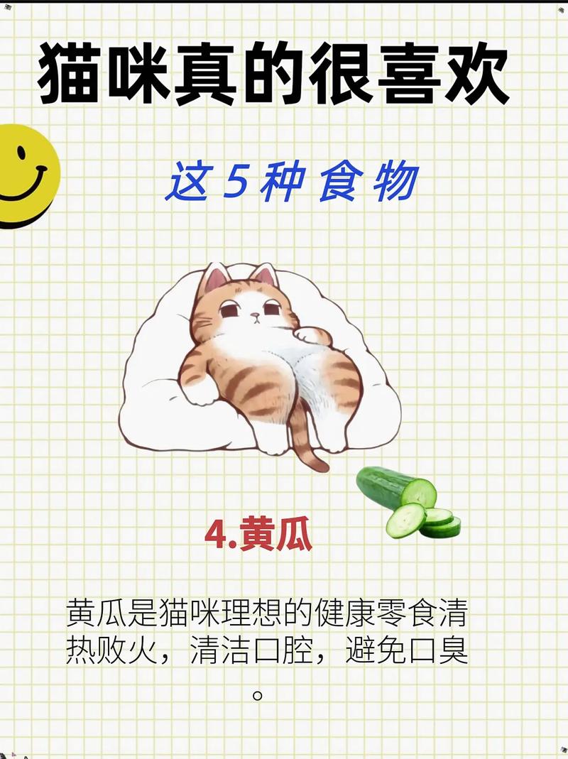 小猫爱吃黄瓜？补水营养好，但适量为佳！（小猫吃黄瓜有什么好处）