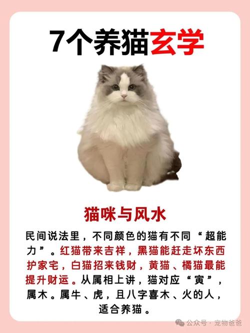 招鬼还是辟邪？猫的神秘民间传说（猫是招鬼还是辟邪的）