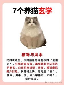 招鬼还是辟邪？猫的神秘民间传说（猫是招鬼还是辟邪的）