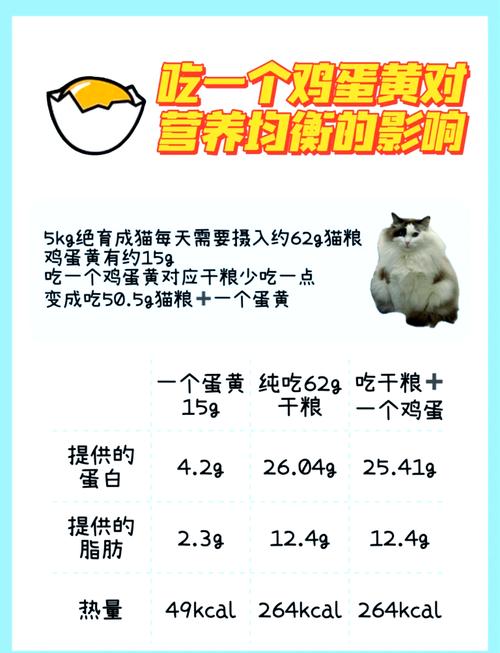 蛋黄养猫好，润毛壮免疫，适量煮熟给辅食（布偶猫经常吃蛋黄有什么好处）