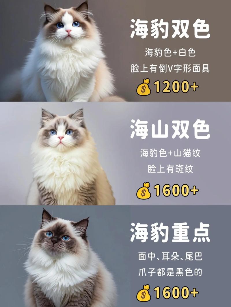 体重标准与饲养（一只布偶猫体重多少）
