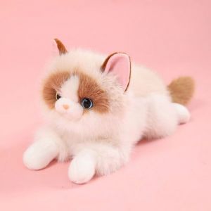 形状多样颜色深浅（异瞳布偶猫）