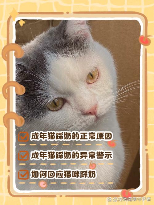 是放松还是身体不适？（公猫频繁踩奶什么原因）