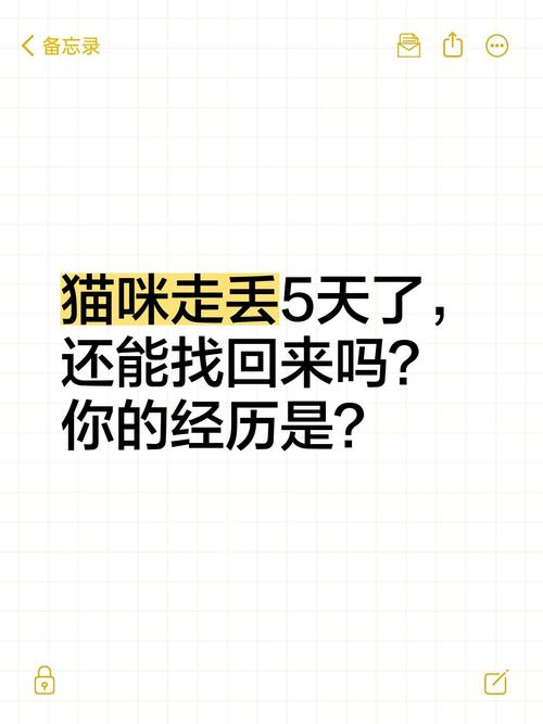 走失猫咪如何回家？实用寻猫指南（公猫走丢了会自己回来吗）