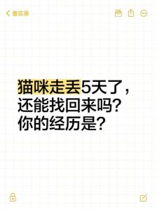 走失猫咪如何回家？实用寻猫指南（公猫走丢了会自己回来吗）