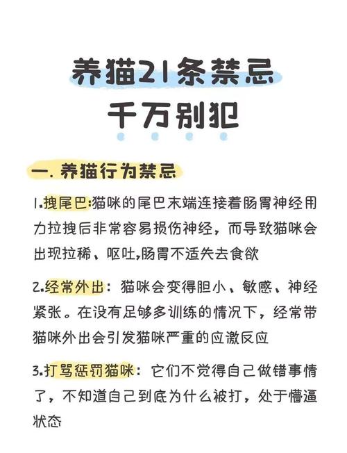 养猫解压又暖心，但需投入精力（养猫的坏处和好处有哪些）