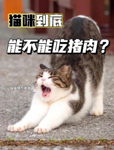 猫咪爱生肉？选对食物更健康！（猫咪吃生肉的好处和坏处）