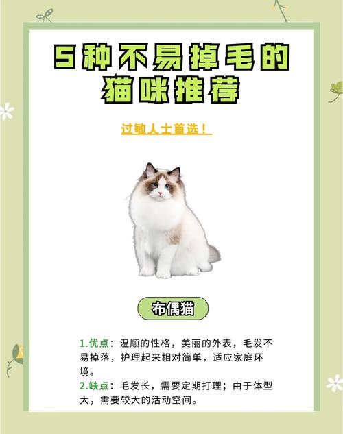 暹罗德文斯芬克斯猫咪特点介绍（什么猫聪明听话又好养还不掉毛）