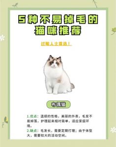 暹罗德文斯芬克斯猫咪特点介绍（什么猫聪明听话又好养还不掉毛）