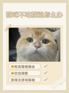 猫咪不胖原因多，定期驱虫体检，科学喂养很重要！（猫吃猫粮老不胖什么原因）