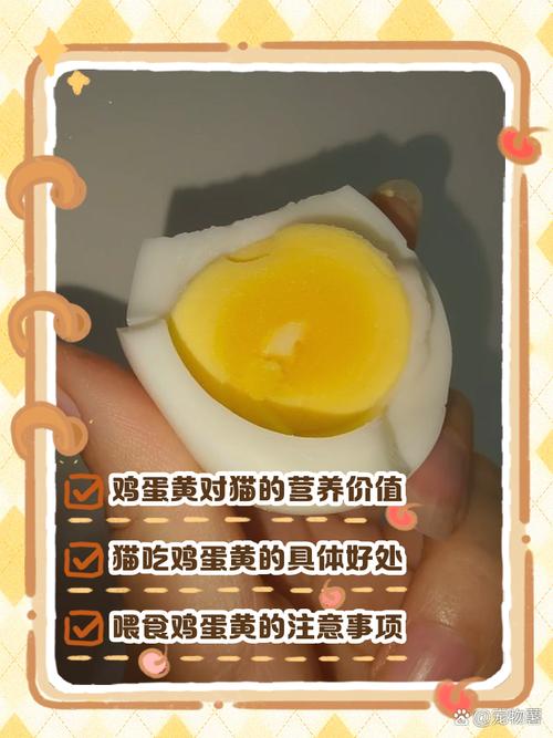 营养好，要煮熟少喂！（小猫吃鸡蛋黄的好处）