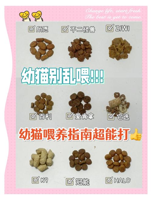 鹌鹑蛋养幼猫好，煮熟当零食，别当主食（幼猫吃鹌鹑蛋好不好）