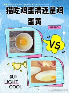 蛋黄养猫好，亮毛增活力，煮熟适量喂（猫猫吃鸡蛋黄的好处）