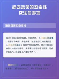 5个月猫可吃少量红薯助消化，但非主食（5月幼猫可以吃番薯吗）