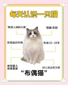 六个月布偶猫体重3-5公斤，正常吗？（布偶猫六个月十斤正常吗）
