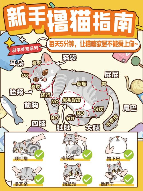 气味声音断食法（如何赶走野猫）