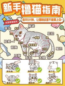 气味声音断食法（如何赶走野猫）