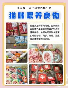 警惕！猫咪番薯干零食的潜在危害（猫猫能吃番薯干吗）