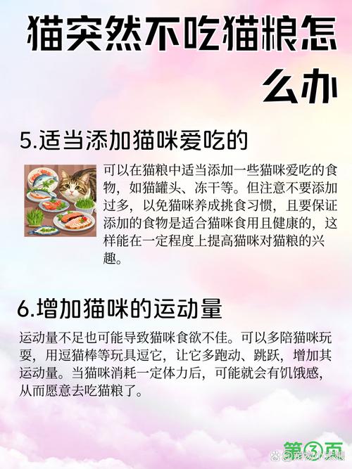 猫咪几天不吃不喝？主人别大意！（猫突然几天不进食了）
