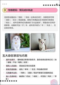 仙甜高贵选什么？（给一只布偶猫取名）