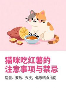 红薯适量喂食，煮熟去皮助消化，肾病猫不宜（猫咪能吃红薯）