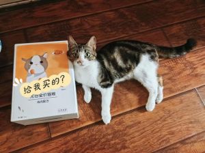 恋爱系统乱入，剧情反转多（猫奴1v1宋卓家里养了一只猫）