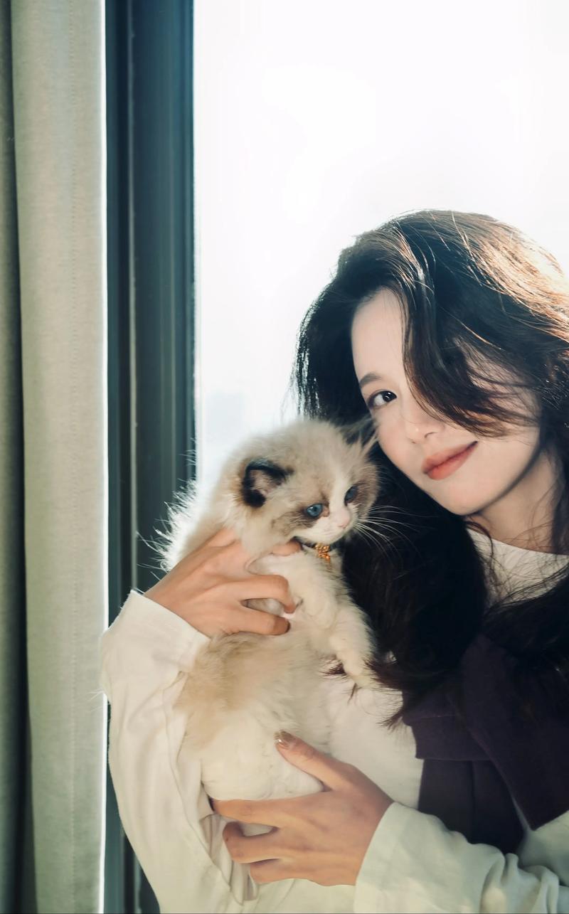 我家两只布偶猫的可爱与古怪（我和我的布偶猫）