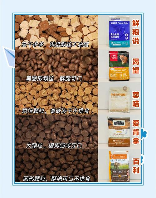 科学增肥选对猫粮，帮偏瘦猫咪长胖（猫咪吃什么猫粮增肥效果好）