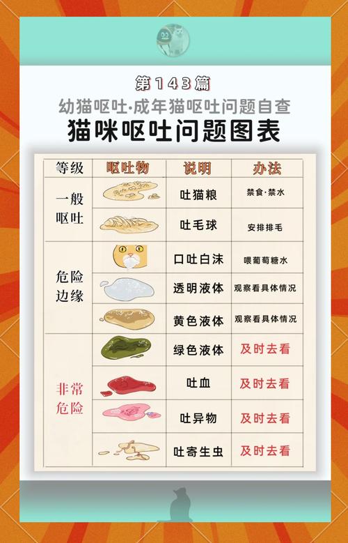 幼猫不吃不喝呕吐？速联兽医别耽误！（幼猫不吃东西呕吐能自己好吗）