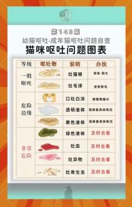 幼猫不吃不喝呕吐？速联兽医别耽误！（幼猫不吃东西呕吐能自己好吗）