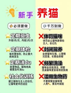 老人养猫好处多，但挑战也不少（老人养猫的好处和坏处）