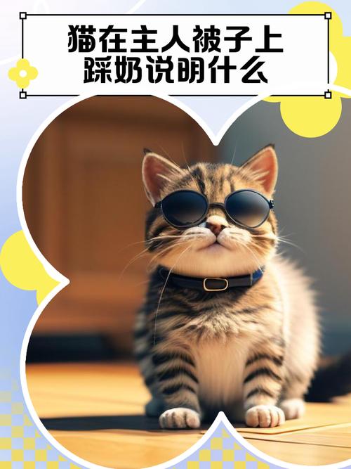 猫咪踩奶信任你，快来抚摸它！（猫咪踩奶说明什么）
