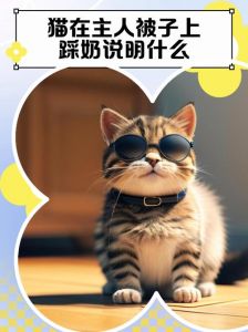 猫咪踩奶信任你，快来抚摸它！（猫咪踩奶说明什么）