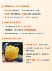 蒸地瓜可喂猫助消化，非主食慎喂（小猫能吃地瓜吗蒸熟的）