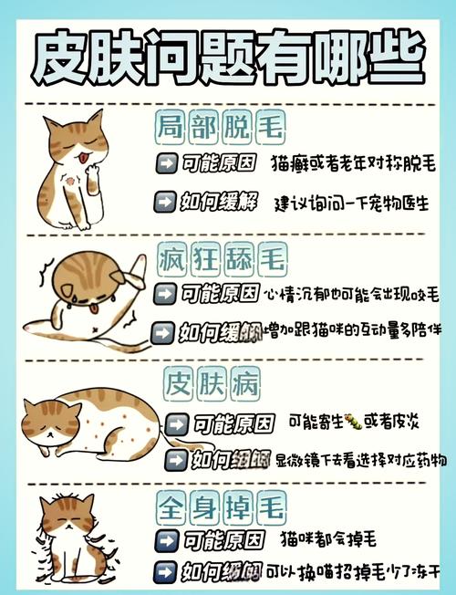 猫咪掉毛多？梳毛调整饮食来搞定！（猫咪怎么样才能不掉毛）