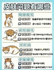猫咪掉毛多？梳毛调整饮食来搞定！（猫咪怎么样才能不掉毛）