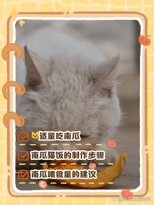 蒸南瓜可喂猫，作零食辅食，勿当主食（猫能吃南瓜吗蒸熟的）
