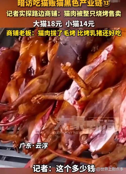 猫肉有营养但争议大，吃与不吃看个人观点（猫肉吃了有什么好处）
