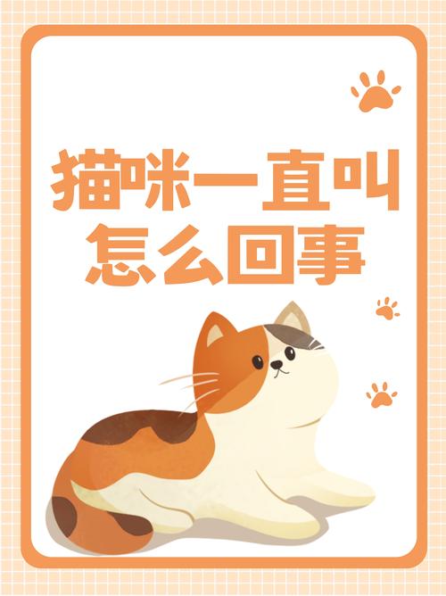 幼猫夜啼怎么办？（幼猫一直叫要不要理它）