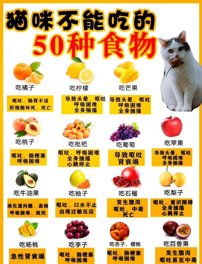 喂猫避开的危险食物（小猫有什么不能吃）