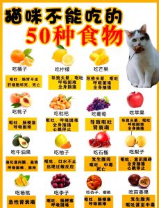 喂猫避开的危险食物（小猫有什么不能吃）