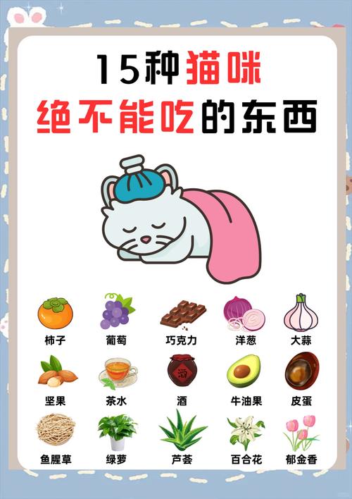 科学喂养，选对猫粮保健康！（猫为何尽量少吃猫饭）