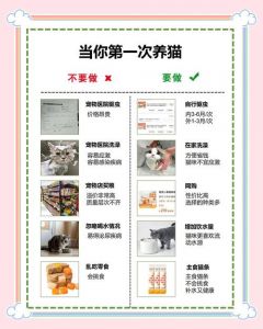 饮食驱虫洗澡等（养美短猫十大禁忌）