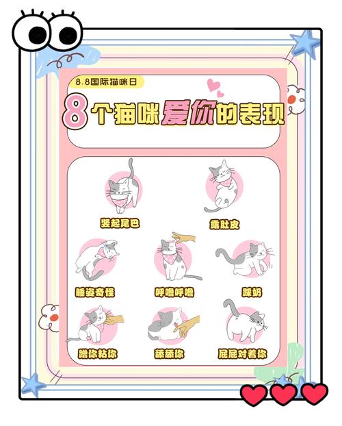 黏人等你回家让你摸肚肚（猫咪深爱你的6大表现）