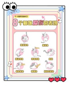 黏人等你回家让你摸肚肚（猫咪深爱你的6大表现）