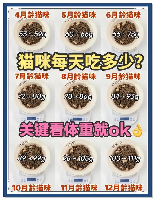 猫粮脂肪多少合适？看年龄活动量来调整（猫粮粗脂肪多少合适）