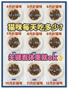 猫粮脂肪多少合适？看年龄活动量来调整（猫粮粗脂肪多少合适）