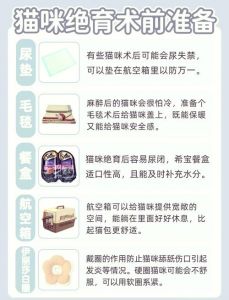 性格变温顺，但易胖需注意（母猫绝育有什么好处和坏处）
